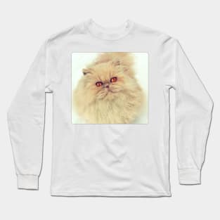 Who are you calling a big ball of fur? Long Sleeve T-Shirt